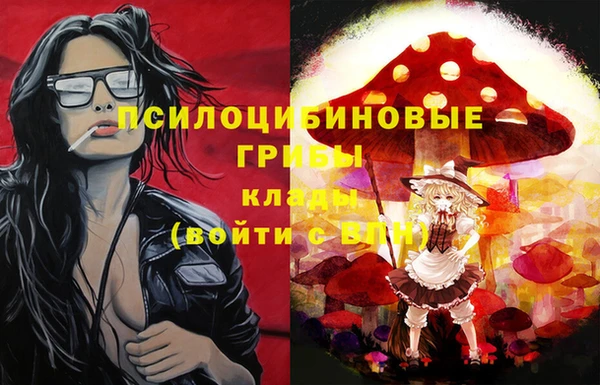 герыч Кинешма
