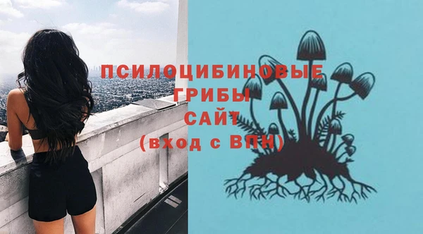 герыч Кинешма