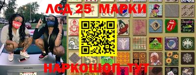 мяу мяу мука Краснознаменск