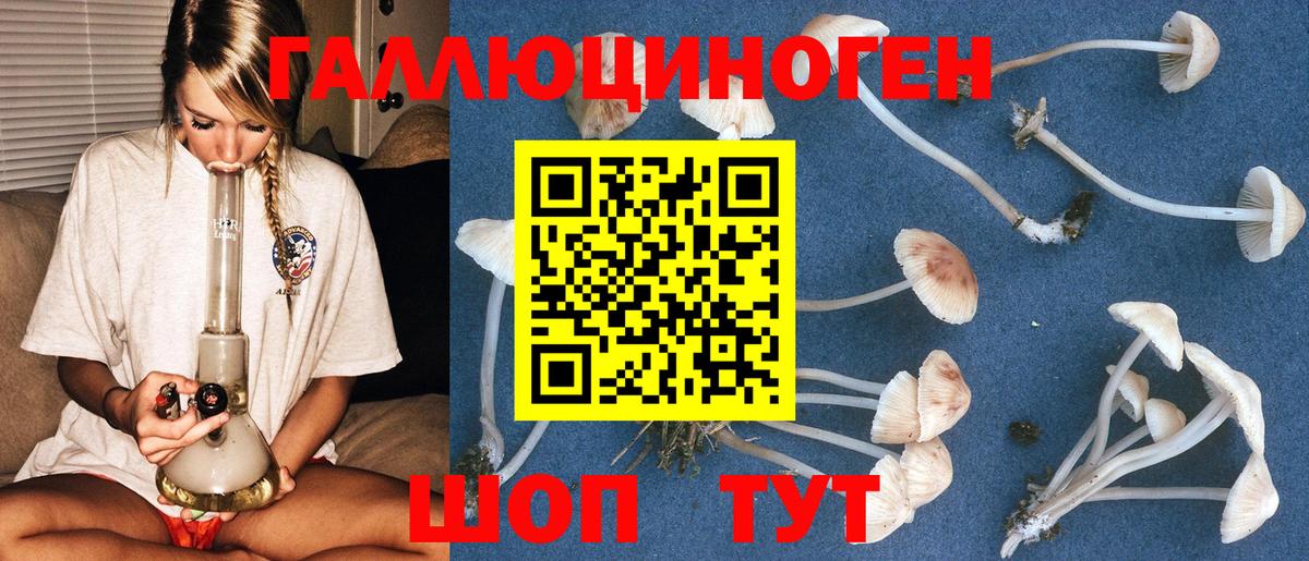 Кирово-Чепецк  Галлюциногенные грибы GOLDEN TEACHER  Псилоцибиновые грибы мухоморы  Вход с VPN 