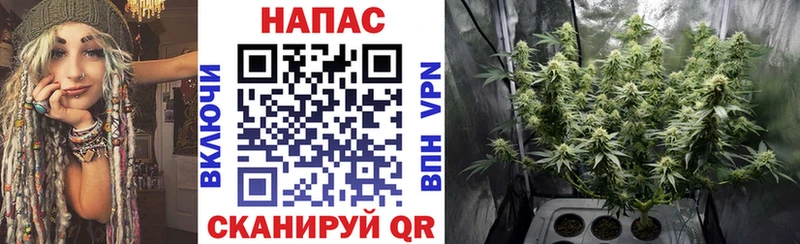 Марихуана сатива Кирово-Чепецк